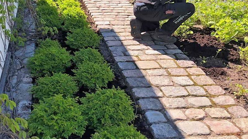 Plantering och rabatter